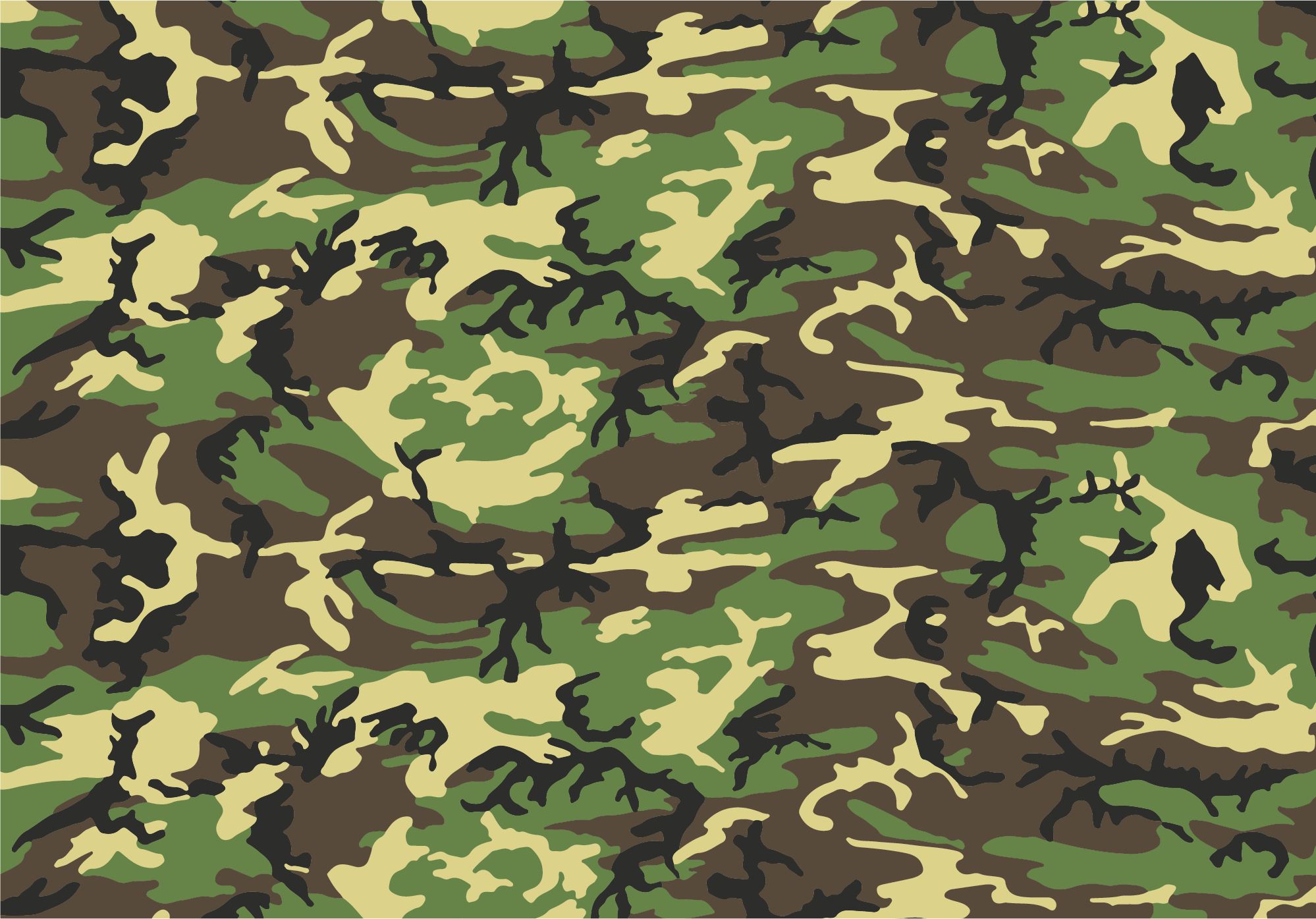 A Brief History Of Camouflage